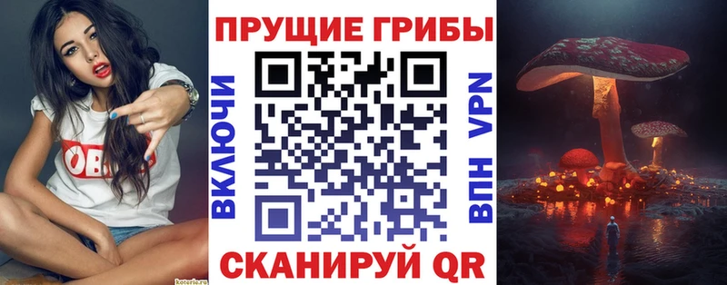 Купить  Николаевск-на-Амуре  Псилоцибиновые грибы MAGIC MUSHROOMS 